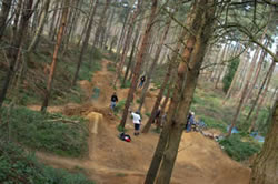 The Local BMX Trails