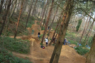 The local trails