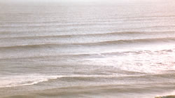 Secret Spot for surfing, swell lines hitting shaun's local Break